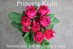 Принцесса Киши (Princess Kishi)