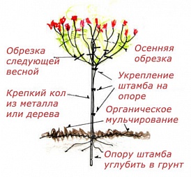 Опора для роз из дерева